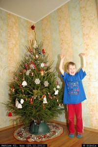 See on meie kõige ilusam jõulupuu! 