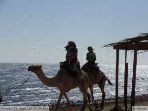 Aga kaameli seljas oli ka päris huvitav sõita